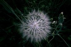 jquery获取iframe元素