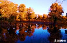 php+mysql防止sql注入